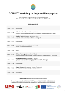CONNECT Workshop on Logic and Metaphysics